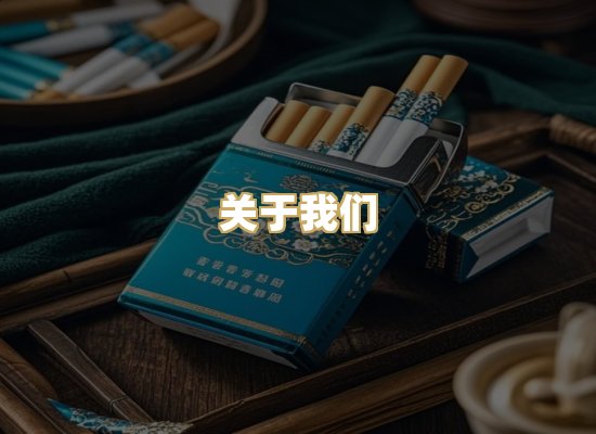 关于我们